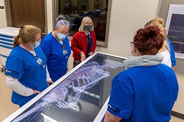 5  students and professor  standing around a table with virtual image of skeleton 