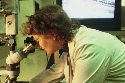 Mary Ellen St. John looks into a microscope in this historical image.