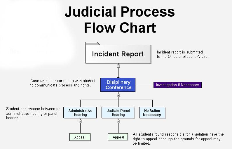 Flow Chart depicting the Judicial and Honor Processes